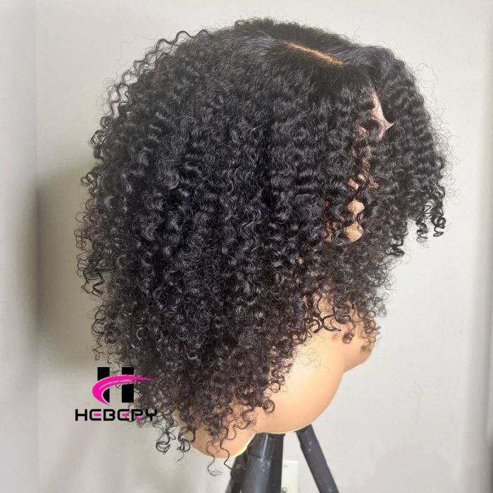 HD Lace Burmese Curly Closure Wig, 100% Virgin Hair